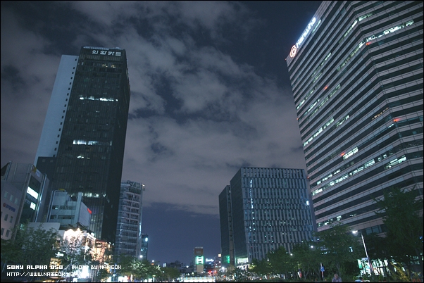 대포고냥군도 야경 촬영에 삼각대를 챙기는 열정을 갖고 싶다능-